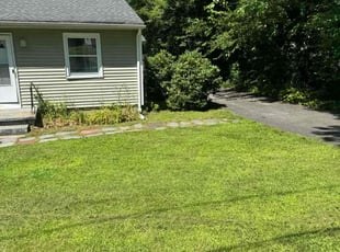 Amy J.'s turf care service result