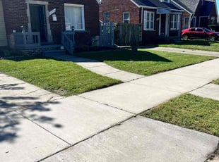 Lisa H.'s turf care service result