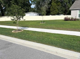Heidi A.'s turf maintenance service result