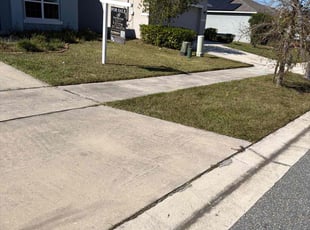 Emmett W.'s grass maintenance service result