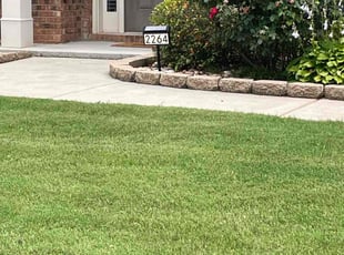 Treyce S.'s Bush Trimming service result