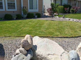 Karen L.'s turf care service result
