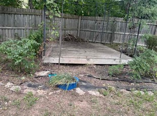Robbie H.'s Cleanup service result