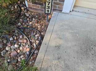 Ashley H.'s turf maintenance service result