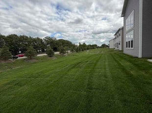 Gregory S.'s lawn maintenance service result