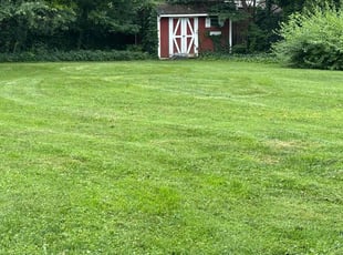 Kendall J.'s lawn care service result