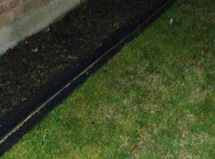 Helio L.'s Flower Bed Weeding service result