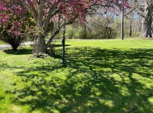 Tricia G.'s lawn care service result