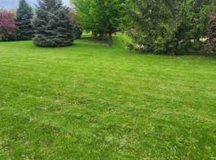Tyrone W.'s turf maintenance service result