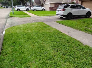Kevin L.'s lawn care services service result