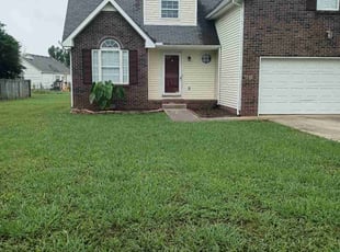 Terri C.'s turf care service result