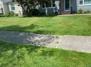 Michael M.'s lawn care service result
