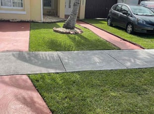 Denny O.'s grass cutting service result