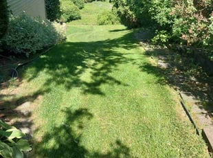 Linda S.'s lawn service service result