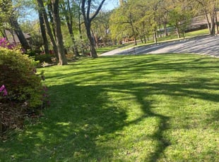 Eleanor C.'s lawn care services service result