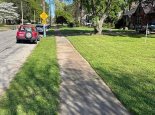 Tami E.'s Long Grass Cleanup service result