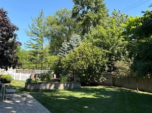 Jennifer P.'s grass cutting service result