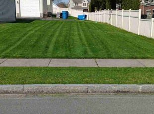 Otetia W.'s lawn care service result
