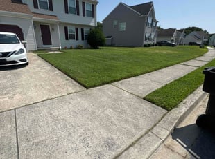 Ron R.'s lawn care services service result