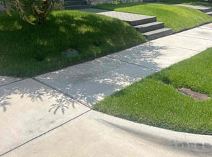 Katie F.'s lawn service service result