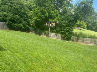 Joshua A.'s lawn service service result