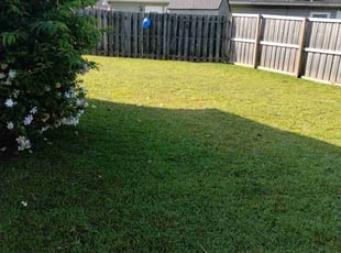 Benjamin H.'s lawn care service result