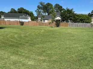 Joshua B.'s landscaping service result