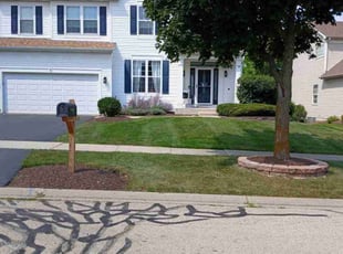 Frank M.'s turf care service result