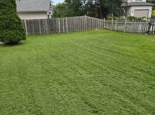 Samuel O.'s lawn maintenance service result