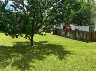 Brittney W.'s turf care service result