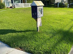 Thomas G.'s turf maintenance service result