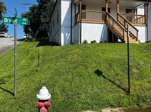Willie D.'s grass cutting service result