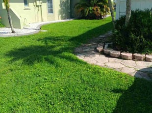 David G.'s turf maintenance service result