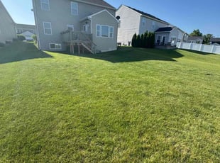Denise F.'s lawn care service result