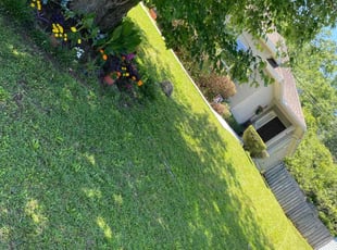 Frances H.'s lawn service service result