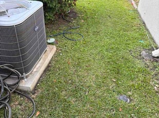 Morris C.'s grass maintenance service result