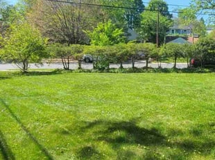 Chris P.'s turf care service result