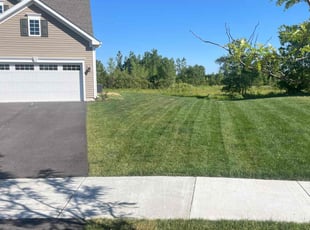 Frank T.'s lawn care service result