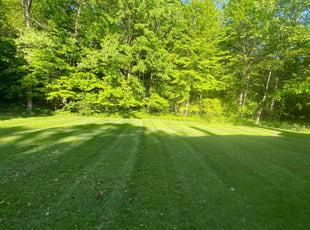 Cathy H.'s lawn care services service result