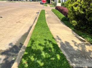 Daniel M.'s lawn care service result