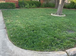 Carvin W.'s turf maintenance service result