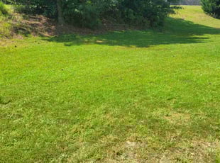 Thomas A.'s turf maintenance service result