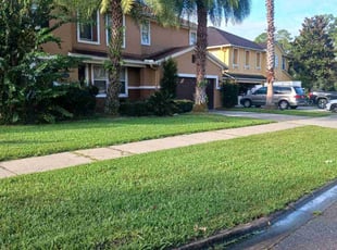 Kathy E.'s yard work service result