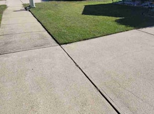 Larry E.'s lawn service service result