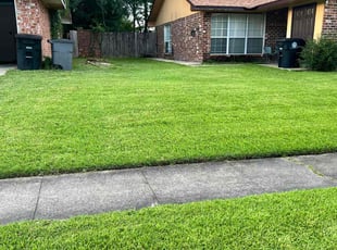 Steve R.'s grass cutting service result
