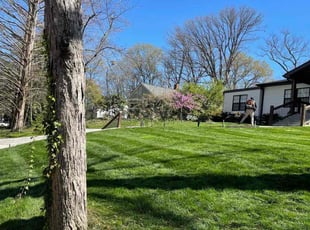 Kaitlin G.'s lawn maintenance service result