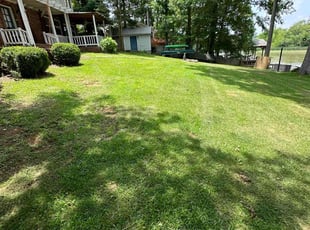 Denise C.'s lawn care services service result