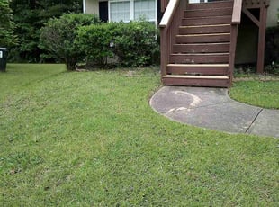 Edison C.'s lawn service service result