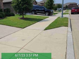 Dominic L.'s lawn maintenance service result