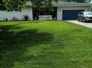 Kathleen S.'s grass maintenance service result